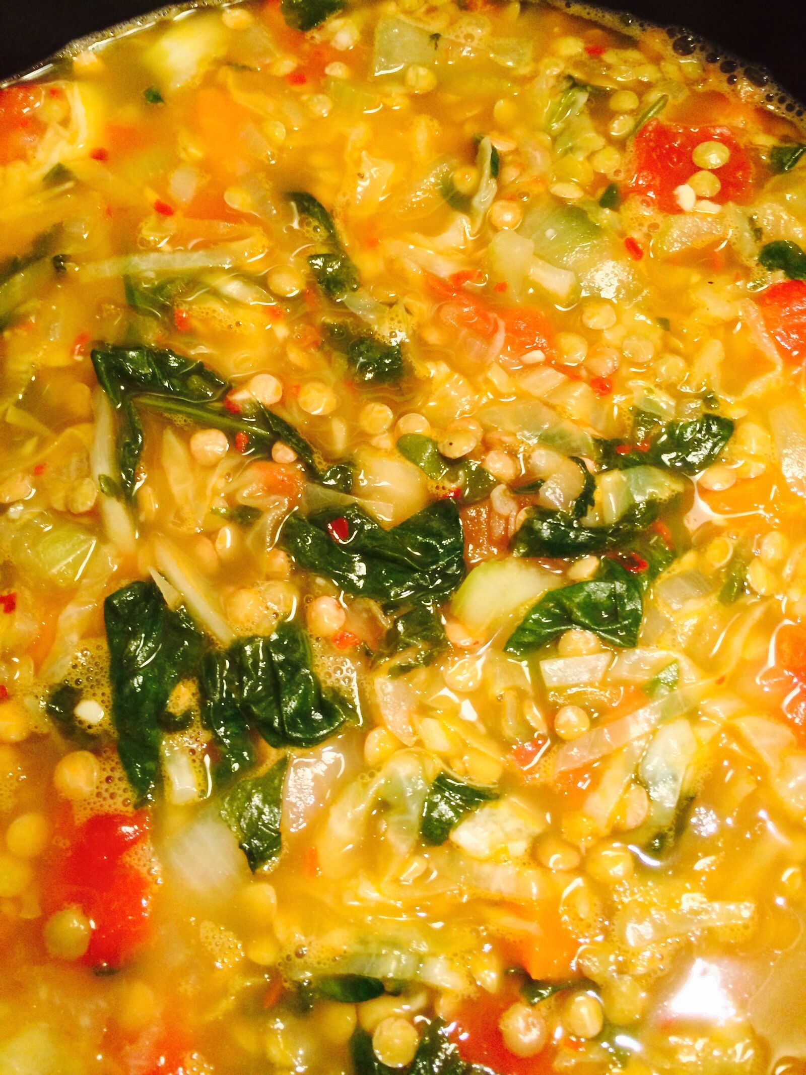 Vegetable Lentil Soup